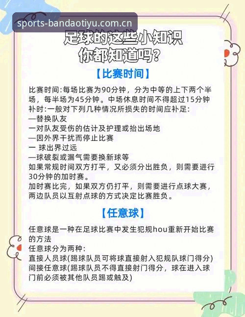 BDTY客户端新手入门详解：从下载到2024体育赛事投注全攻略